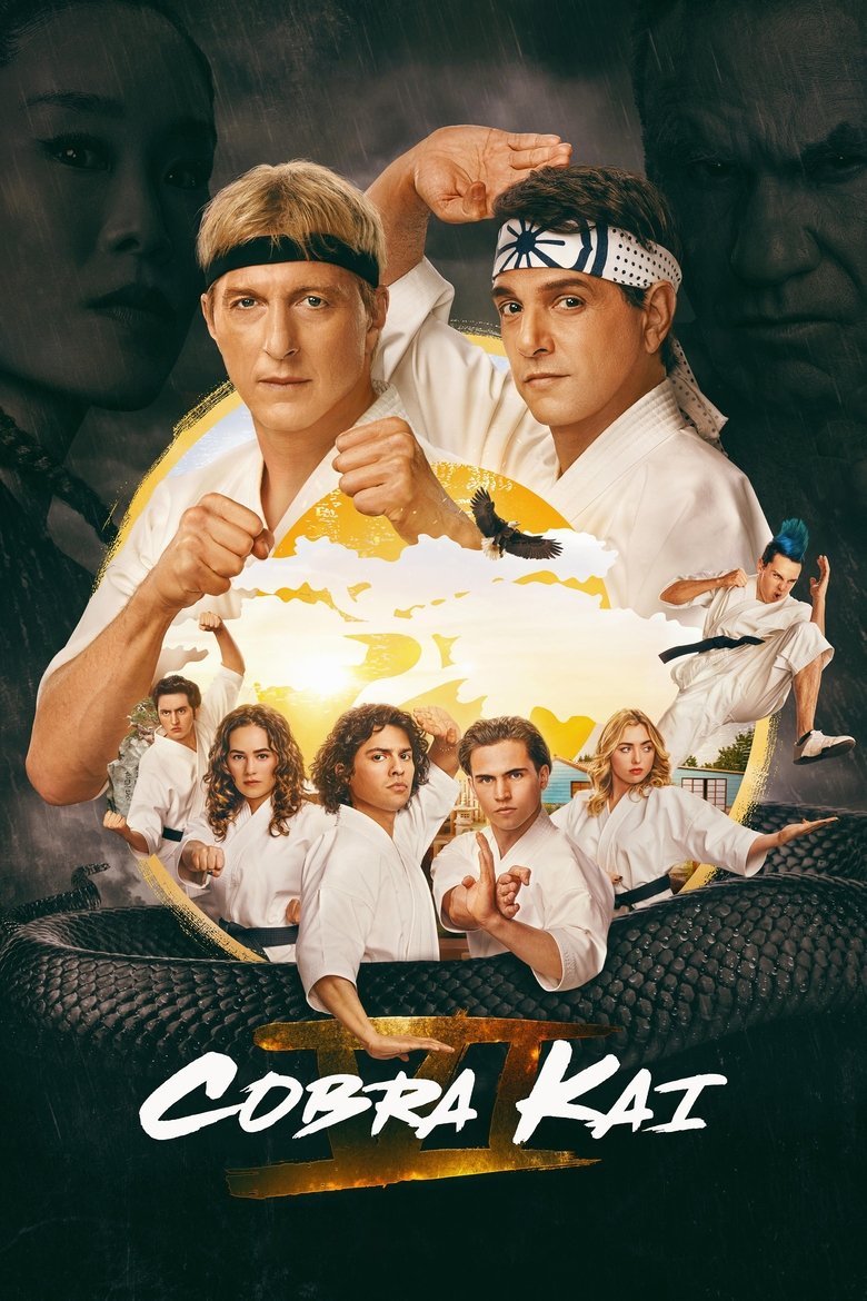 Cobra Kai S01 (2018) (Hindi + English) Dual Audio Completed Web Series